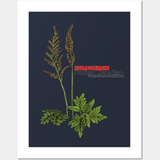 Endangered Northern Grape Fern Posters and Art